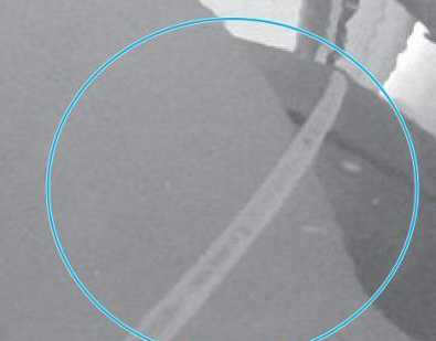 EhoLeQMyVrAv-1582538772941.jpg