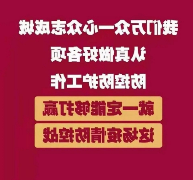 Xabm9dwsexHH-1582282798368.jpg